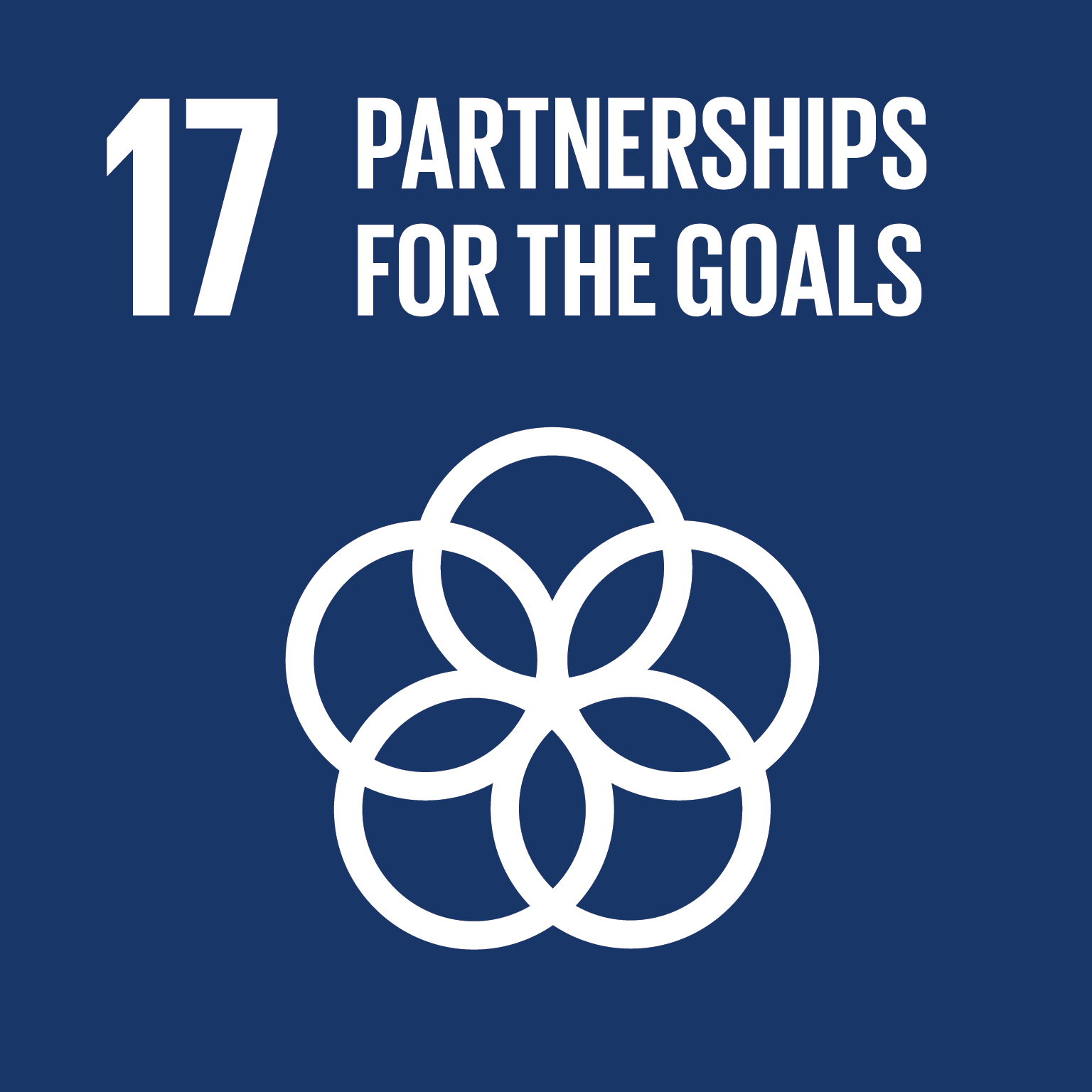 ООН стремится расширять и поддерживать достижение целей в области устойчивого развития и глобального партнерства